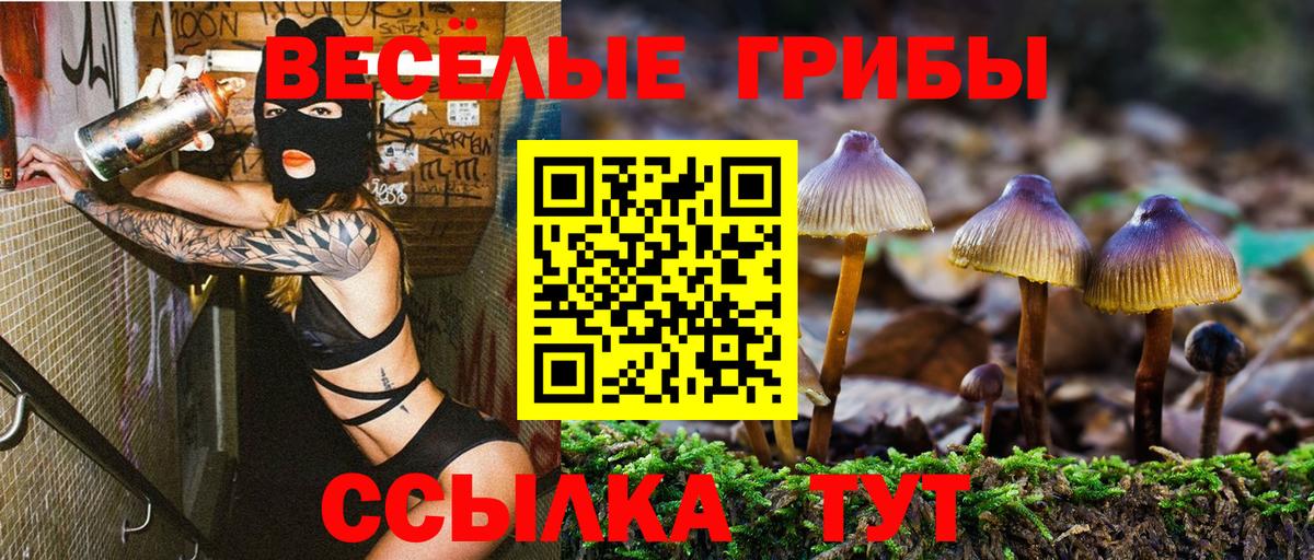 Псилоцибиновые грибы прущие грибы  закладка  Вход с VPN  Ахтубинск  Псилоцибиновые грибы Magic Shrooms 